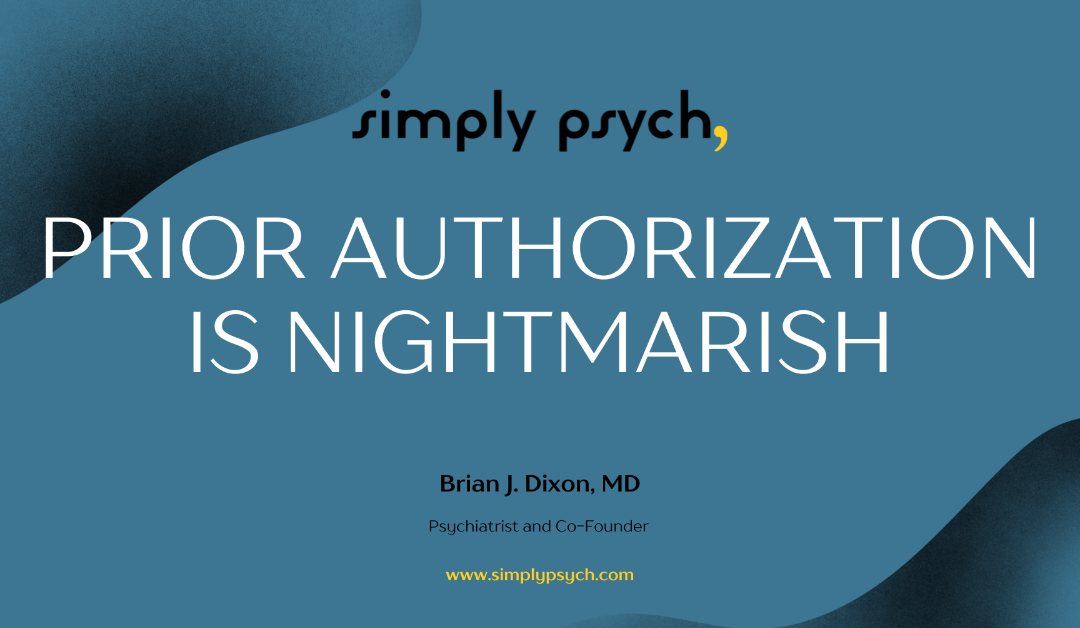 A dark blue and shaded title card reads, "Prior Authorization is Nightmarish"