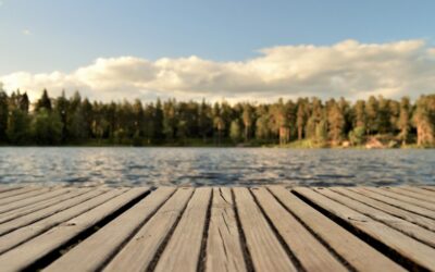 Adult Summer Camps? YES!