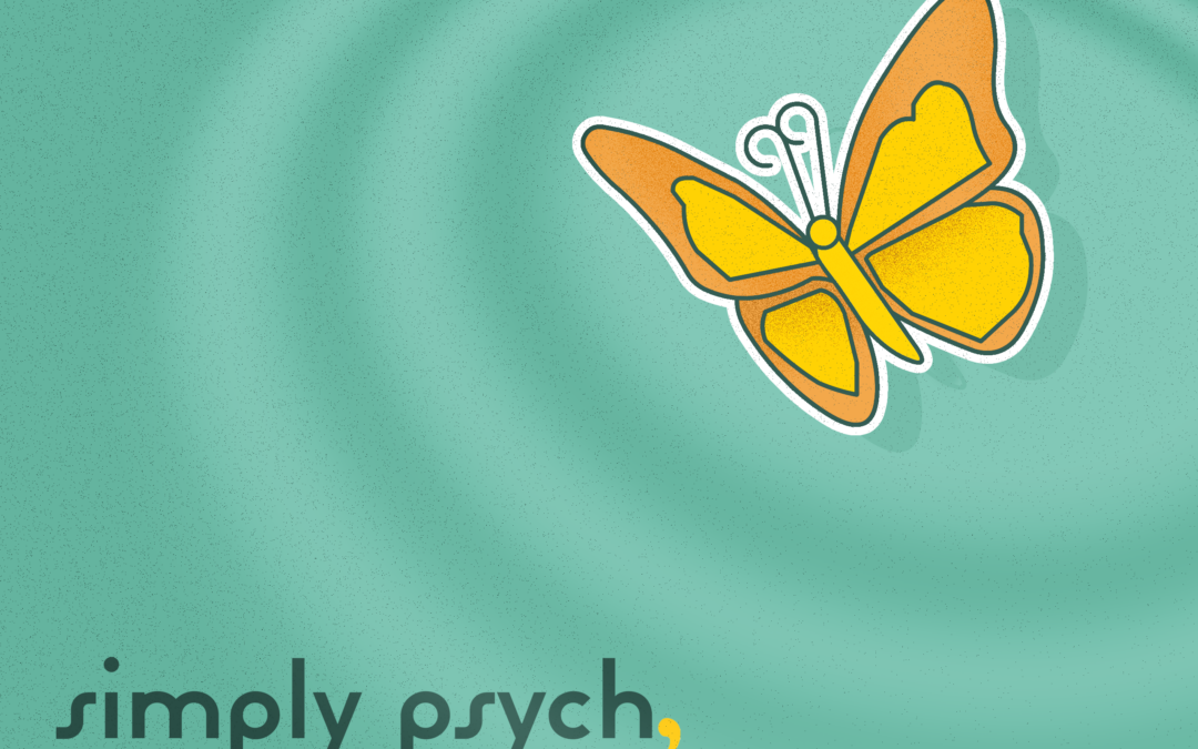 Butterfly Effects in the Mental Health System
