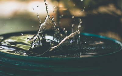 Holiday “Trickle Down” Stress for the Family