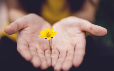 What is Practical Mindfulness?