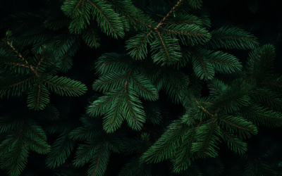 Pre-Holiday Anxiety and You